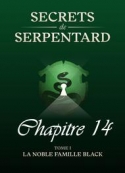Mathilde Vouin: Secrets de Serpentards-Tome 1 Chapitre 14