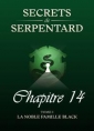 Livre audio: Mathilde Vouin - Secrets de Serpentards-Tome 1 Chapitre 14