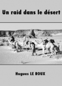 Hugues Le Roux: Un raid dans le désert