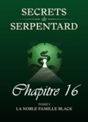 Mathilde Vouin: Secrets de Serpentards-Tome 1 Chapitre 16