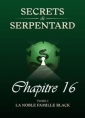 Livre audio: Mathilde Vouin - Secrets de Serpentards-Tome 1 Chapitre 16