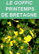 Charles Le Goffic: Printemps de Bretagne