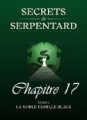 Mathilde Vouin: Secrets de Serpentards-Tome 1 Chapitre 17