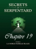 Mathilde Vouin: Secrets de Serpentards-Tome 1 Chapitre 19