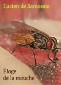 Lucien: Eloge de la mouche