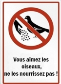 Ahikar: Nasreddine – Vous aimez les oiseaux, ne les nourrissez pas !