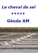 Géode am: Le cheval de sel