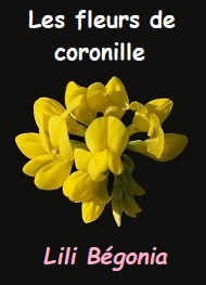 Illustration: Les fleurs de coronille - Lili Bégonia ''lili''